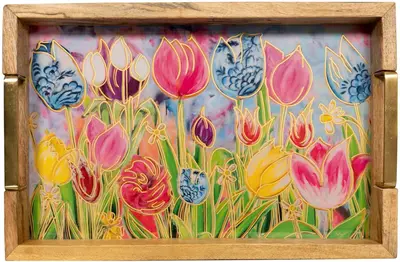TS Collection dienblad kunststof, hout, metaal dutch beauty 34x23x4cm spring
