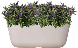 TS Collection Planter Palmero 35x16x15 cm Wit - afbeelding 2
