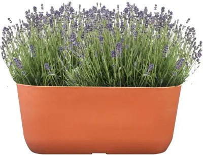TS Collection Planter Palmero 36x16x15 cm Koraal - afbeelding 2