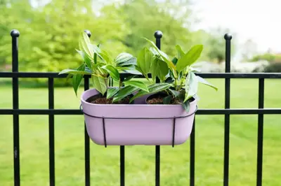 TS Collection Planter Palmero 36x16x15 cm Lavendel - afbeelding 3