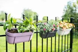 TS Collection Planter Palmero 36x16x15 cm Lavendel - afbeelding 4
