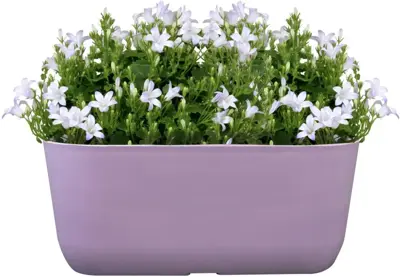 TS Collection Planter Palmero 36x16x15 cm Lavendel - afbeelding 2