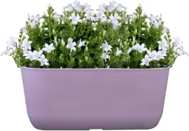 TS Collection Planter Palmero 36x16x15 cm Lavendel - afbeelding 2