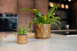 TS Collection Pot Safari Sunset Ø14x13 cm - afbeelding 3