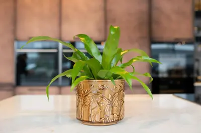 TS Collection Pot Safari Sunset Ø14x13 cm - afbeelding 4