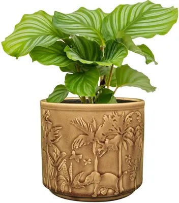 TS Collection Pot Safari Sunset Ø14x13 cm - afbeelding 2