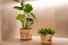 TS Collection Pot Safari Wildlife Ø7x6 cm - afbeelding 2