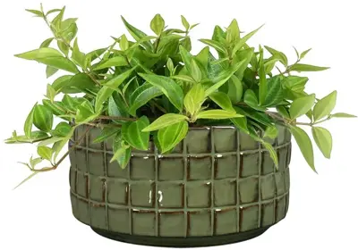 TS Collection schaal keramiek stian 20x10cm mosgroen - afbeelding 2