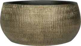 TS Collection schaal Ryan 28x13cm shiny gold kopen?