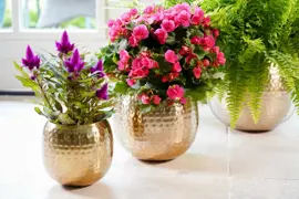 TS hangpot kody metaal 14x15 cm goud - afbeelding 13