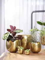 TS hangpot kody metaal 14x15 cm goud - afbeelding 2