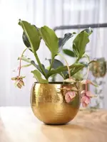 TS hangpot kody metaal 14x15 cm goud - afbeelding 5