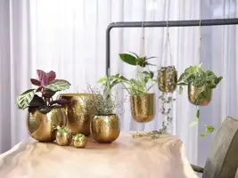 TS hangpot kody metaal 14x15 cm goud - afbeelding 6