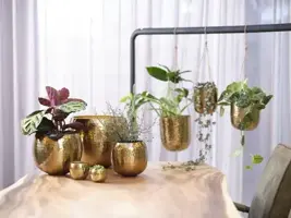 TS hangpot kody metaal 14x15 cm goud - afbeelding 7