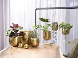 TS hangpot kody metaal 14x15 cm goud - afbeelding 8