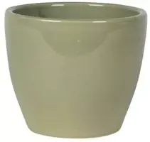 TS pot sven 13x11 cm mint kopen?