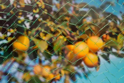 Tuinnet mono l5b4m groen - afbeelding 2