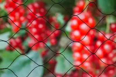 Tuinnet primo l5b5m zwart - afbeelding 3