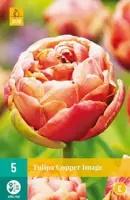 Tulipa Copper Image 5 stuks - afbeelding 1