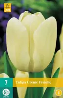 Tulipa creme fraiche 7 bloembollen - afbeelding 1