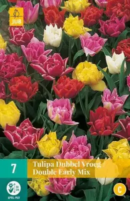 Tulipa Dubbel Vroeg mix 7 tulpenbollen - afbeelding 1