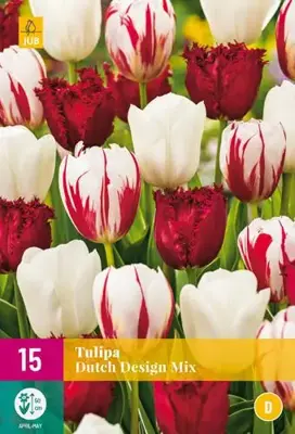 Tulipa Dutch Design Mix 15 tulpenbollen - afbeelding 2