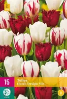 Tulipa Dutch Design Mix 15 tulpenbollen - afbeelding 2