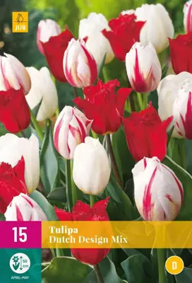 Tulipa Dutch Design Mix 15 tulpenbollen - afbeelding 1
