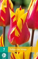 Tulipa Fire Wings 7 tulpenbollen - afbeelding 2