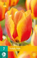 Tulipa Flair 7 tulpenbollen - afbeelding 1