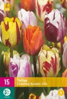 Tulipa Flaming Beauty mix 15 tulpenbollen - afbeelding 2