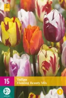 Tulipa Flaming Beauty mix 15 tulpenbollen - afbeelding 1
