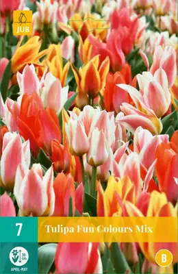 Tulipa Fun Colours 7 tulpenbollen - afbeelding 1