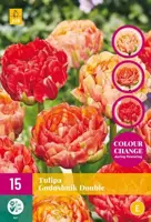 Tulipa Gudushnik Double 15 stuks - afbeelding 2
