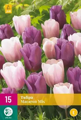 Tulipa Macaron mix 15 tulpenbollen - afbeelding 2