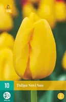 Tulipa novi sun 10 bloembollen - afbeelding 2