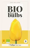 Tulipa Novi Sun 7st biologisch geteeld - afbeelding 1