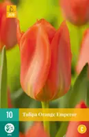 Tulipa Orange Emperor 10 tulpenbollen - afbeelding 1