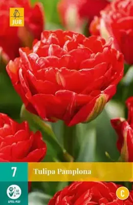 Tulipa Pamplona 7 tulpenbollen - afbeelding 1