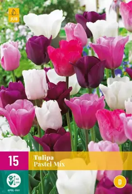 Tulipa Pastel mix 15 tulpenbollen - afbeelding 1