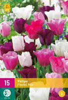 Tulipa Pastel mix 15 tulpenbollen - afbeelding 1