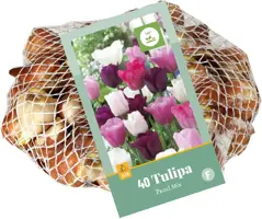 Tulipa Pastel Mix 40 tulpenbollen - afbeelding 3