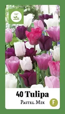 Tulipa Pastel Mix 40 tulpenbollen - afbeelding 2