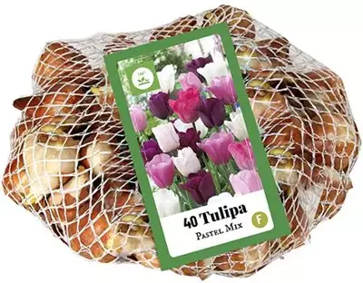 Tulipa Pastel Mix 40 tulpenbollen - afbeelding 1