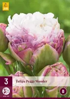 Tulipa Peggy Wonder 3 tulpenbollen - afbeelding 1