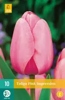 Tulipa Pink Impression 10 tulpenbollen - afbeelding 1