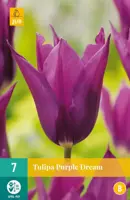 Tulipa Purple Dream 7 tulpenbollen - afbeelding 1