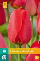 Tulipa Red Impression 10 tulpenbollen - afbeelding 2