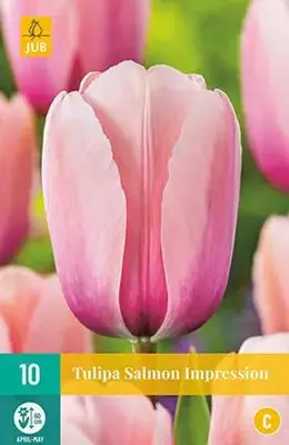 Tulipa Salmon Impression 10 stuks - afbeelding 1