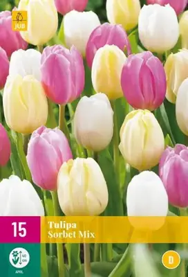 Tulipa Sorbet Mix 15 tulpenbollen - afbeelding 2